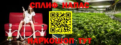 дурь Бузулук